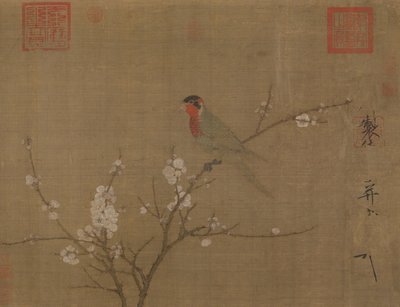 Perruche à cinq couleurs sur un abricotier en fleurs - Emperor Huizong